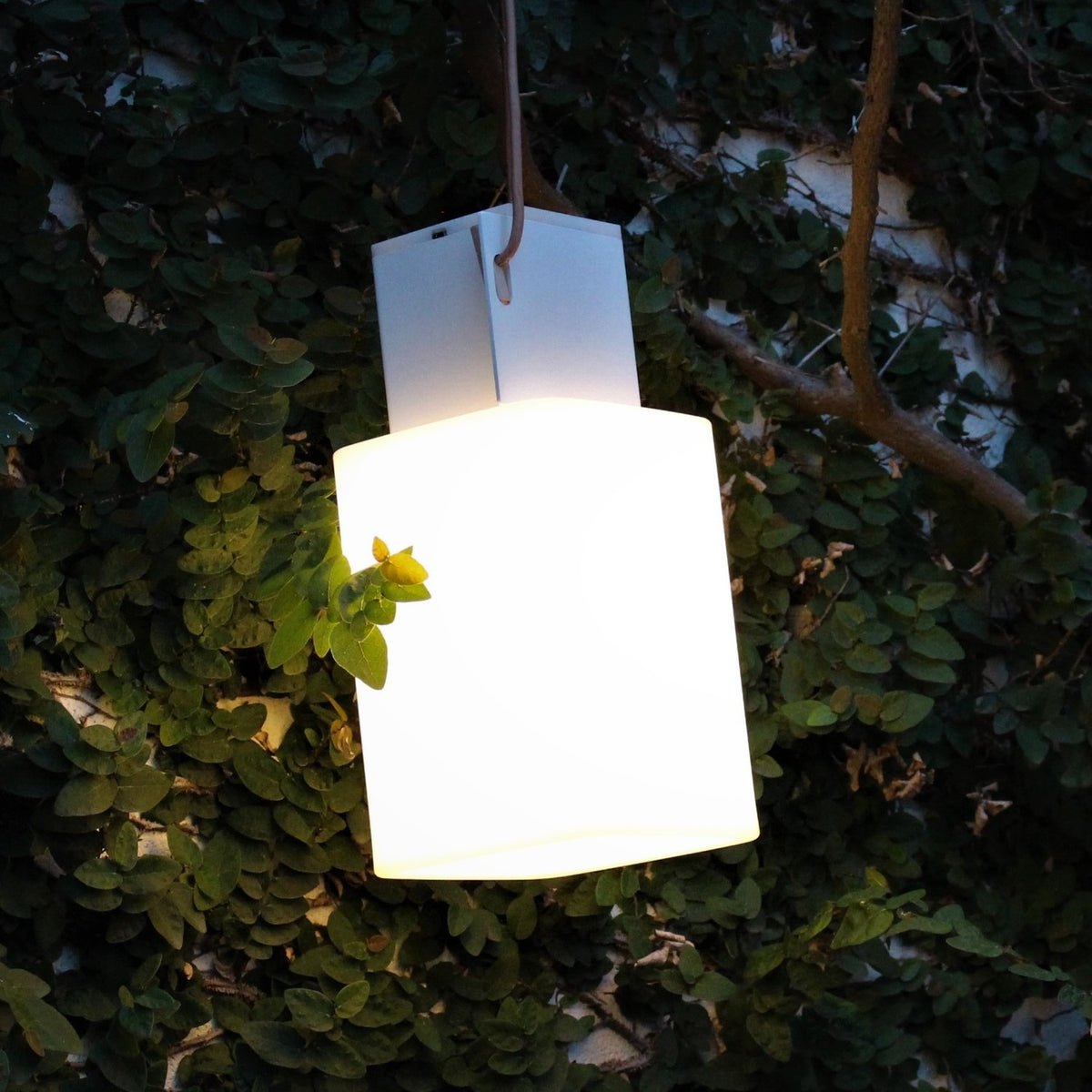 Cuadrat LED rechargeable outdoor table lamp in white, square glowing shade with top handle, shown hanging outdoors amid green foliage at dusk.