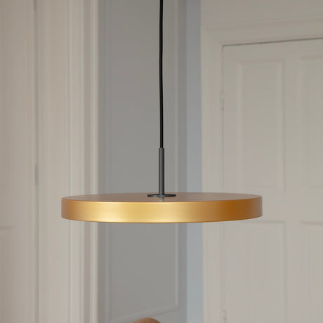 2184 in-situ 1
