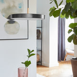 2207 in-situ 3
