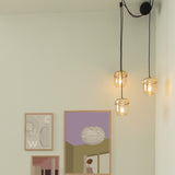 2215 in-situ 5