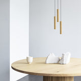 2230 in-situ 5