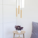 2230 in-situ 7