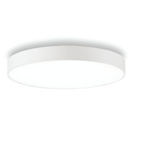 Introducing the Bright LED Flush Ceiling Light with a 3000K white lighting spectrum, featuring a sleek and modern design. This fixture is crafted with an aluminum build and finished in white, ensuring even illumination through its smooth, flat surface. Perfect for adding a clean and minimalist touch to any contemporary space, it measures 45cm in diameter.
