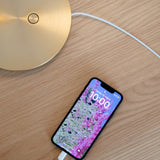 2238 in-situ 3