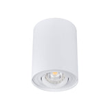 Bord Round GU10 Ceiling Light - Matte White