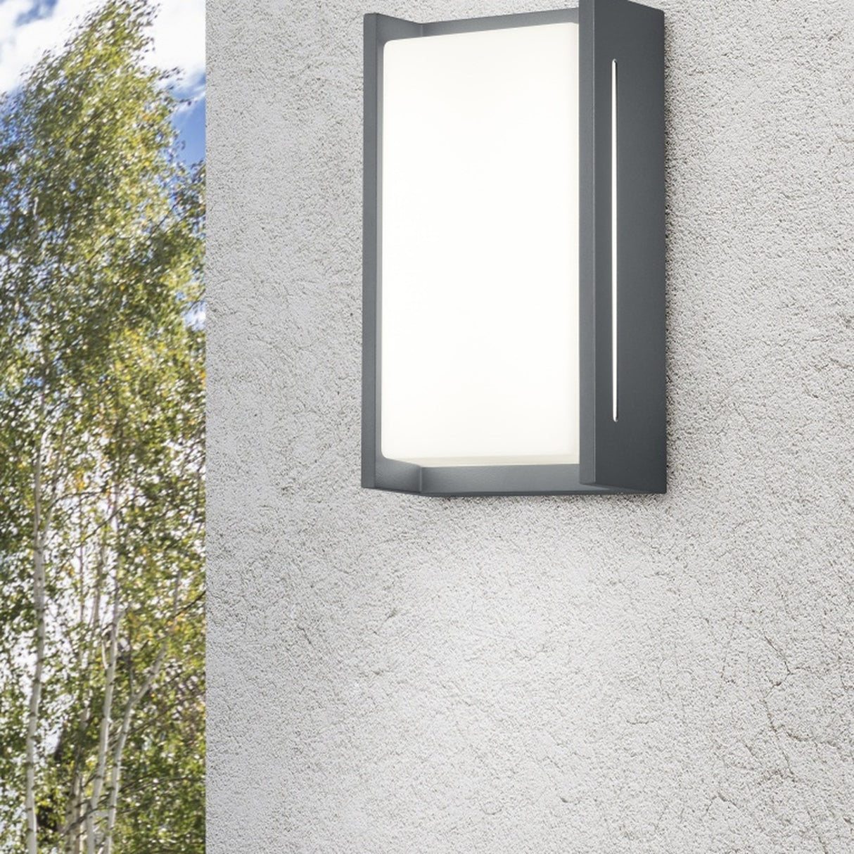 Indus LED Glass Outdoor Wall Light – Anthracite