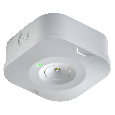 230V 3W LED Surface Emergency Downlight