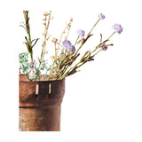 Libra Interiors Textured Wildflower faux stems in lilac and green with feathery seed heads, arranged in a rustic weathered terracotta pot on a white background.