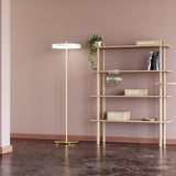 2337 in-situ 4