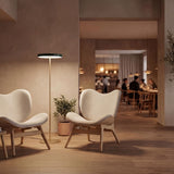 2339 in-situ 3