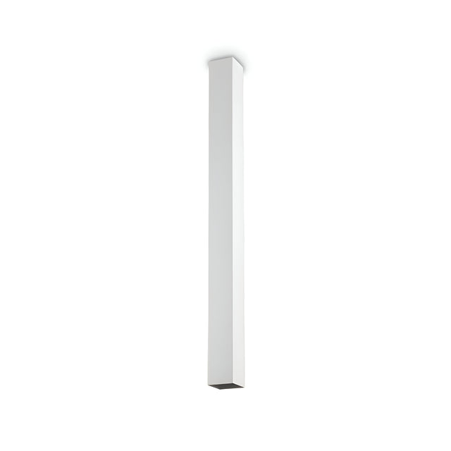Against a plain white background, the Emberlux Ceiling Light - White 75cm presents a sleek and modern aesthetic. With its minimalist design, this tall and narrow fixture enhances any contemporary setting.