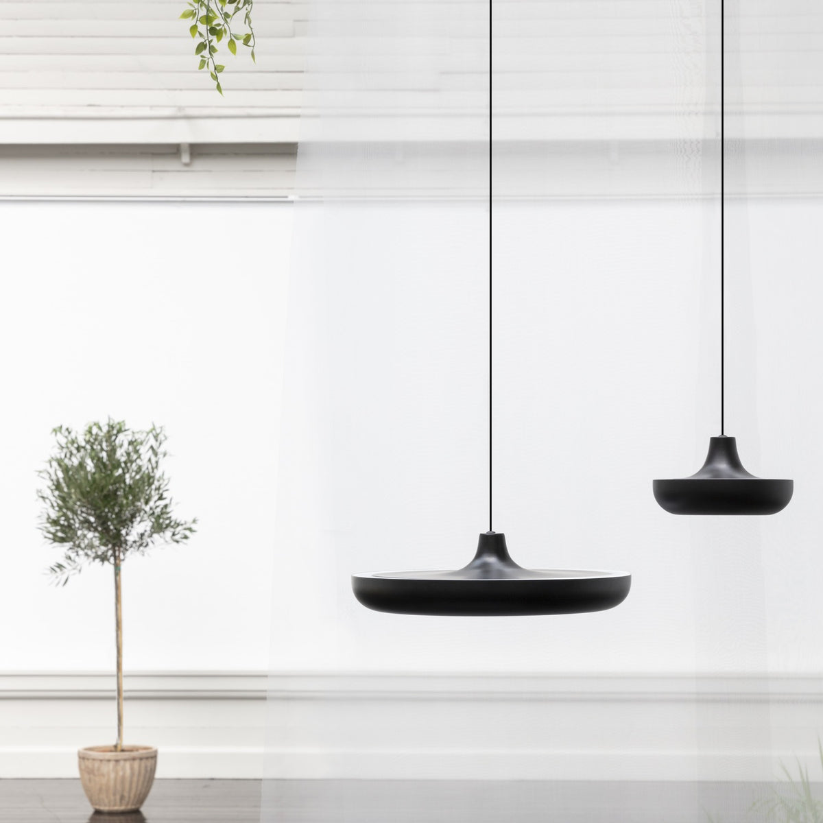 2361 in-situ 3