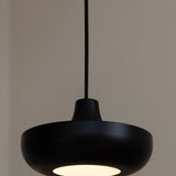 2361 in-situ 4