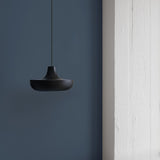 2361 in-situ 6