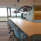 Impossible Oval Pendant Light 65cm