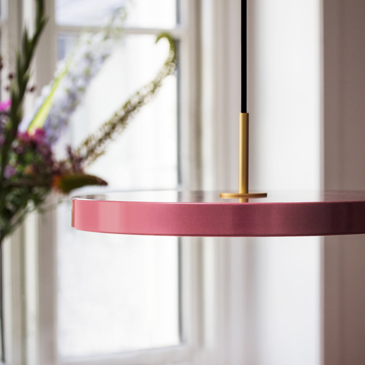 2422 in-situ 4