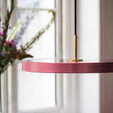 2422 in-situ 4