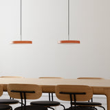 2433C4174 in-situ 2