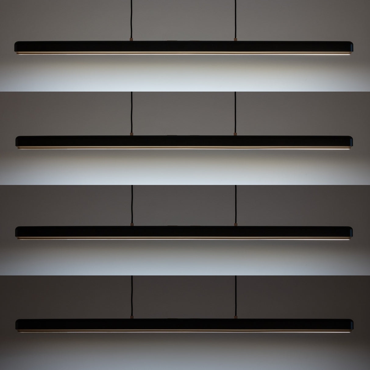 2454 in-situ 5