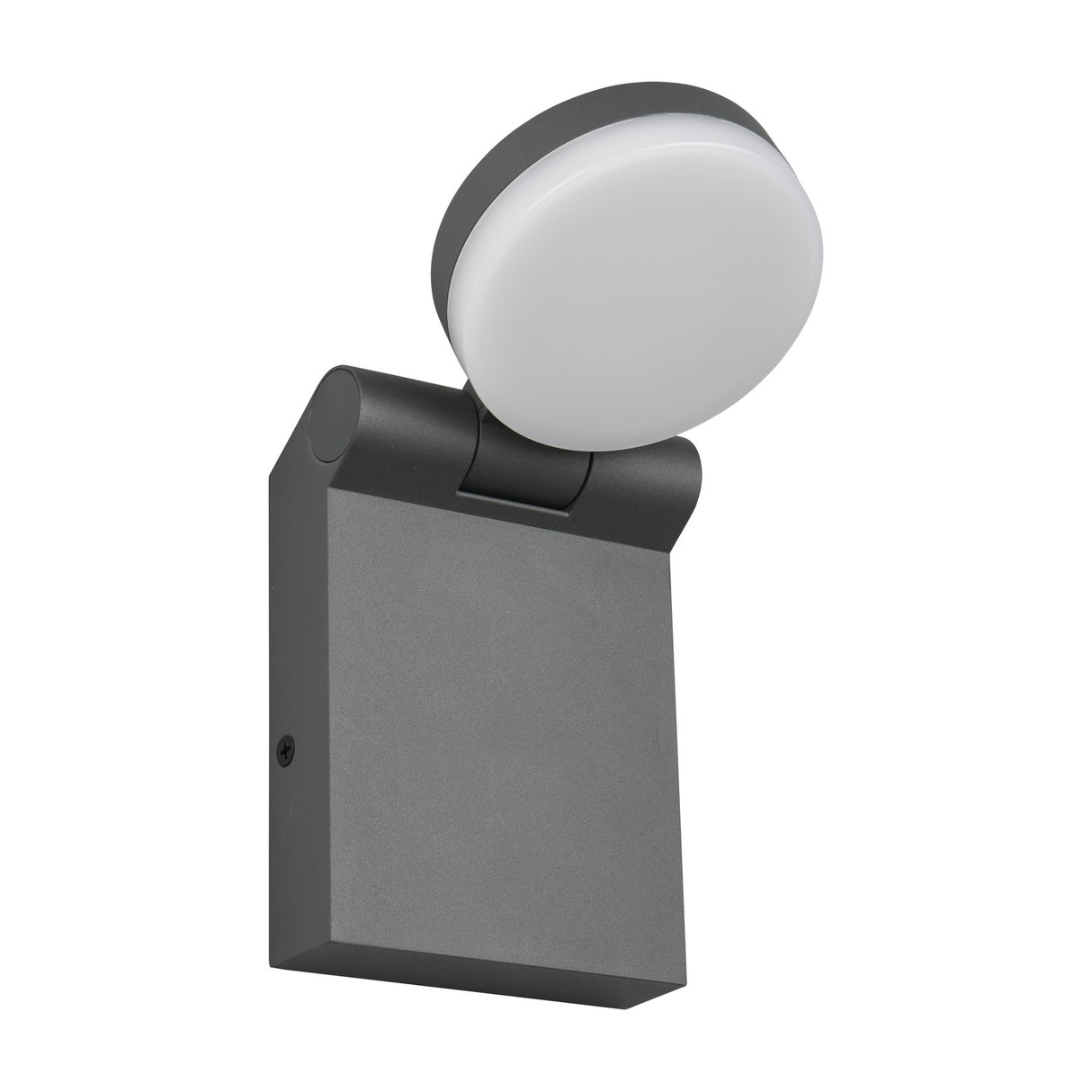 Adour LED Glass Outdoor Wall Light – Anthracite
