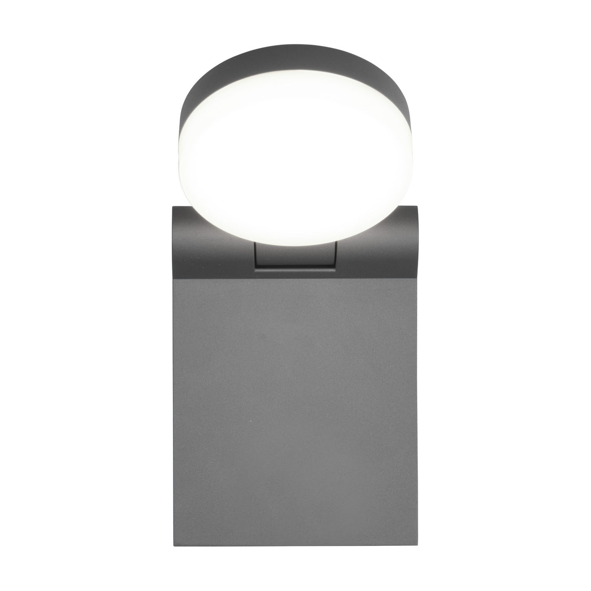 Adour LED Glass Outdoor Wall Light – Anthracite