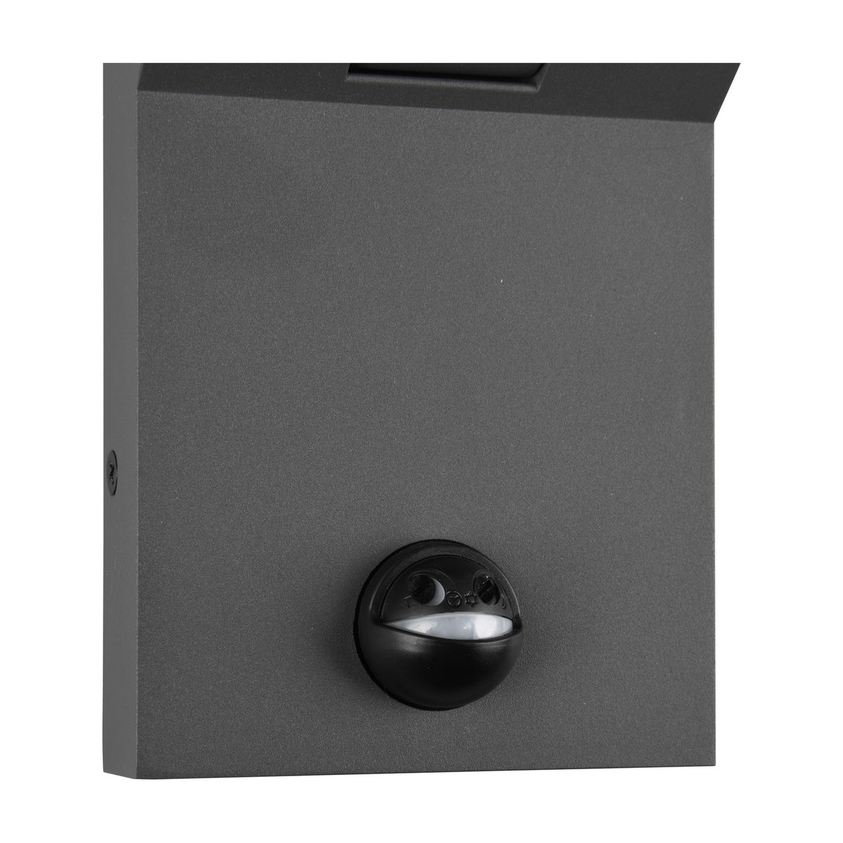 Adour LED Globe PIR Outdoor Wall Light – Anthracite