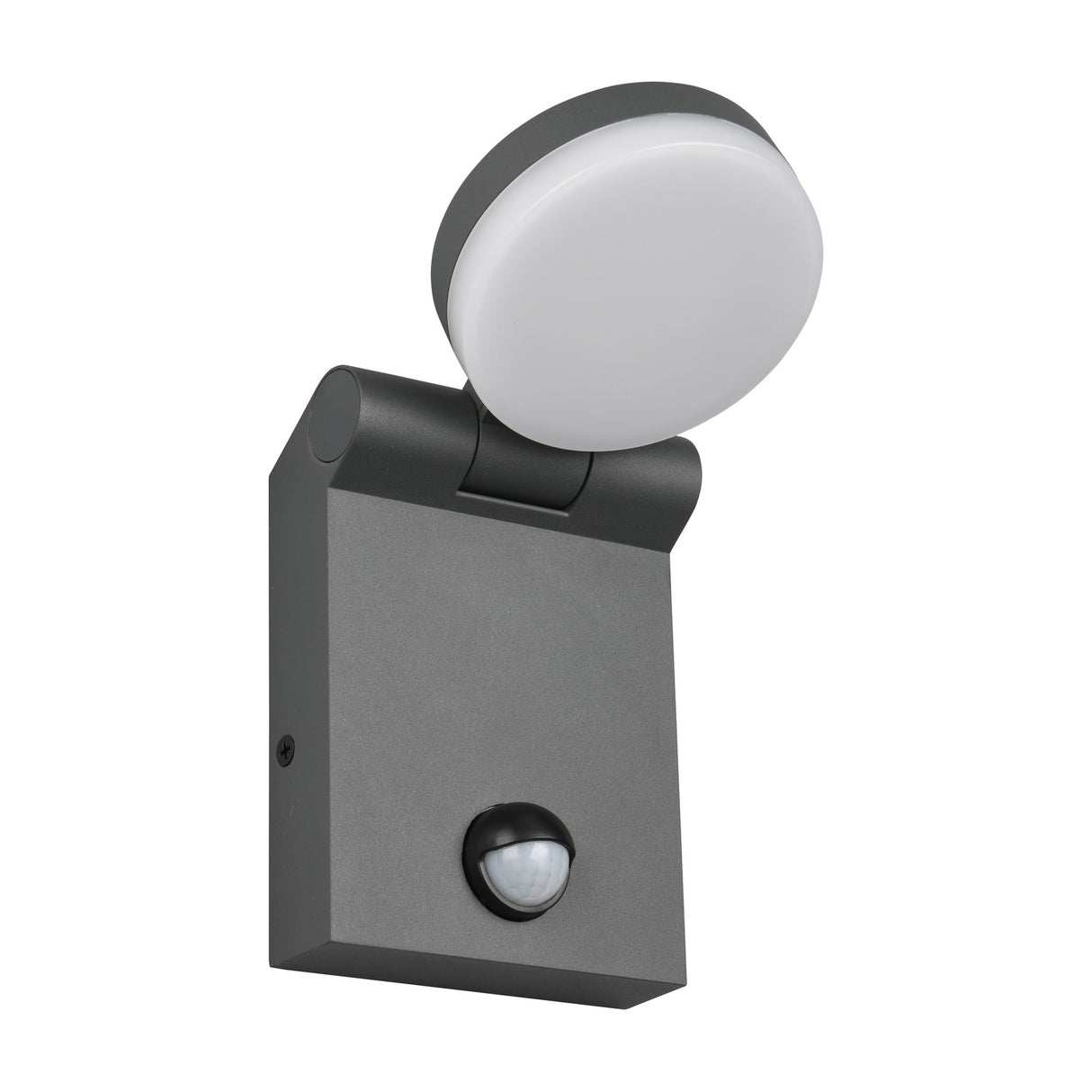 Adour LED Globe PIR Outdoor Wall Light – Anthracite