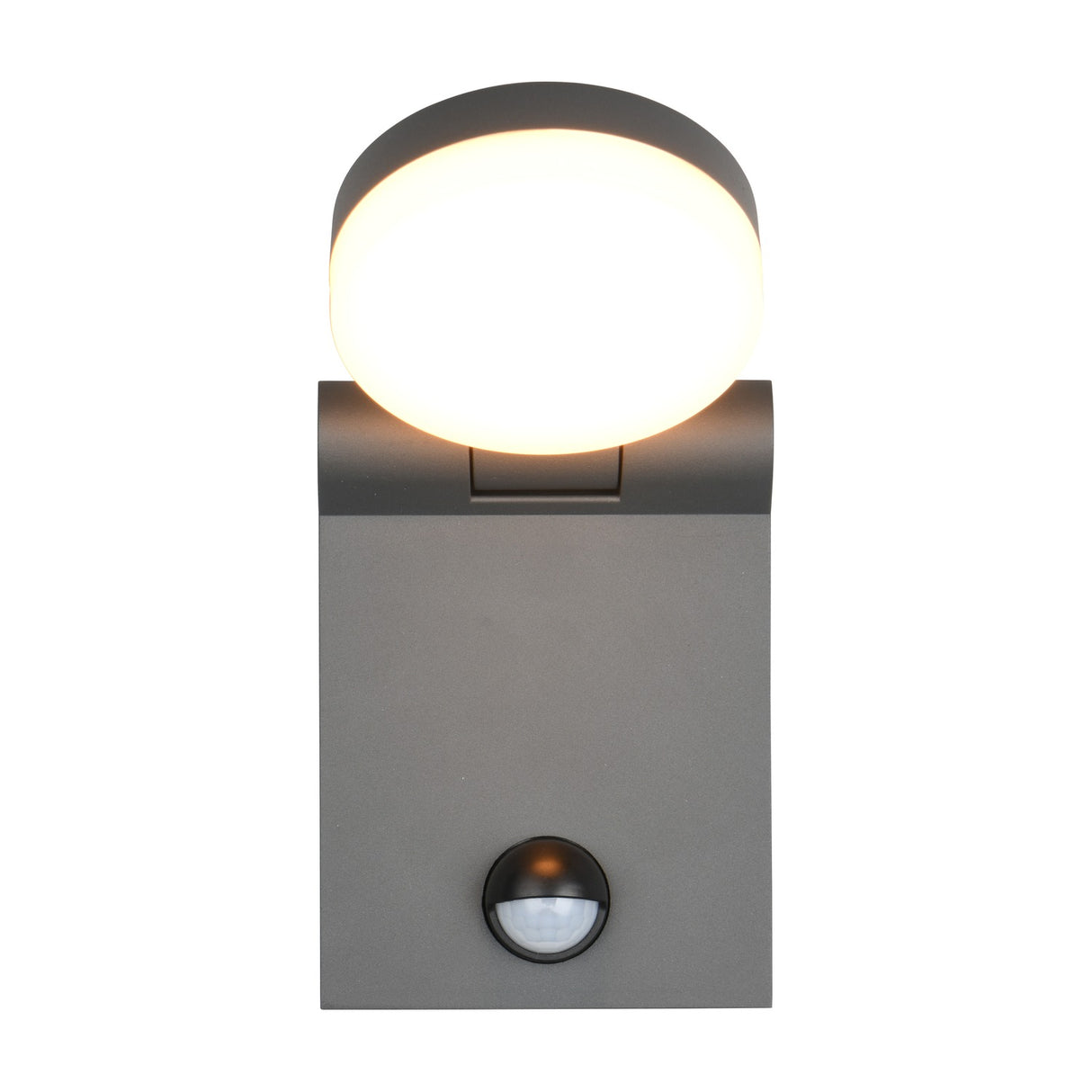 Adour LED Globe PIR Outdoor Wall Light – Anthracite