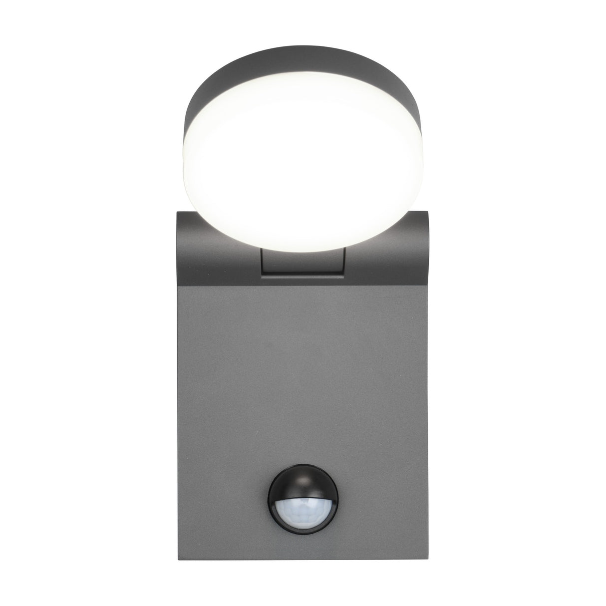 Adour LED Globe PIR Outdoor Wall Light – Anthracite