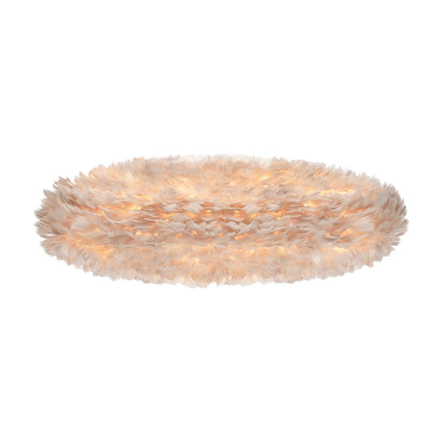 2460 packshot 4