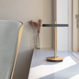2501 in-situ 4
