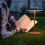 2501 in-situ 5