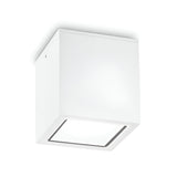 Introducing the Helixis Outdoor Small Downlight - White, a sleek and modern cube-shaped ceiling light fixture. Designed with a minimalist aesthetic, it is perfect for both indoor and outdoor settings. Featuring an IP54 rating and a frosted glass panel to evenly diffuse light, this versatile downlight seamlessly complements any contemporary interior or modern exterior.