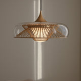 2523 in-situ 3