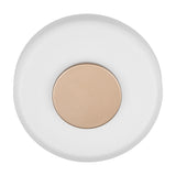 Celeste LED Glass Wall Light – Coffee