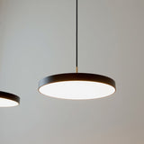 2565 in-situ 2