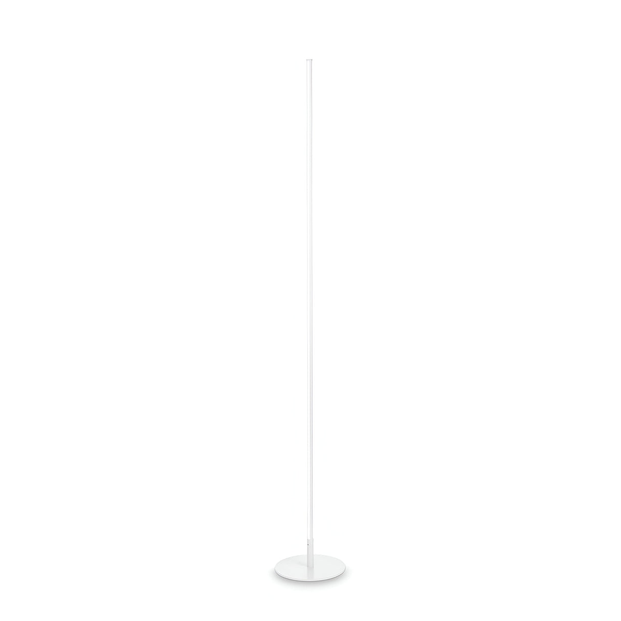 A sleek, white, minimalist floor lamp showcasing the Wave LED Floor Lamp 16W 3000K design features a slim pole and round base against a plain white background, with its energy-efficient lighting seamlessly enhancing modern aesthetics.