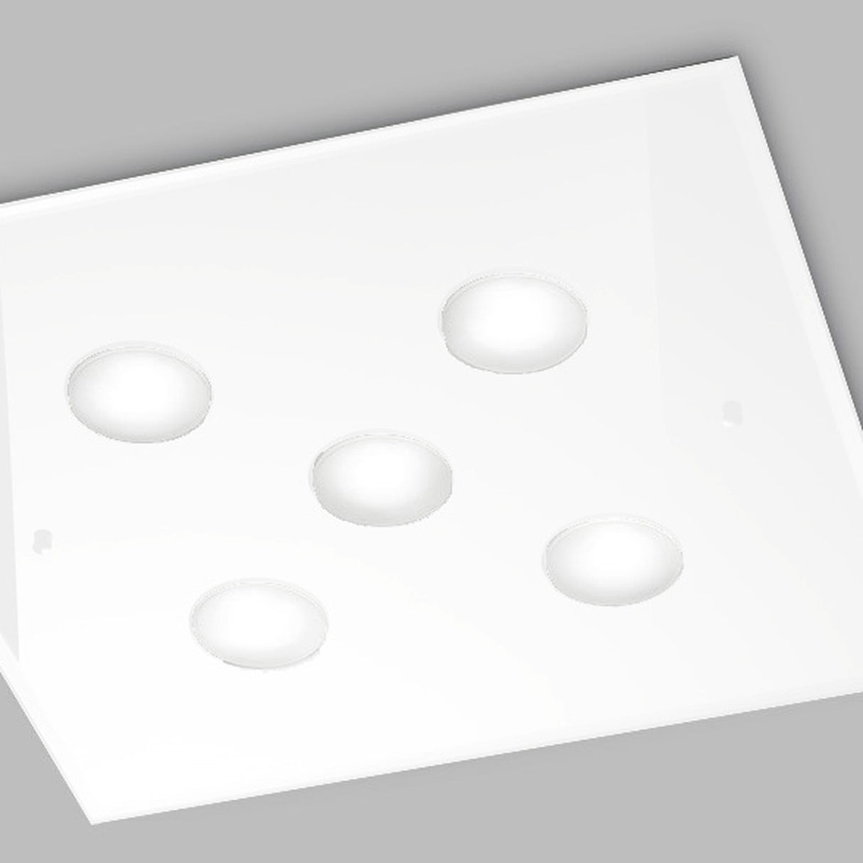Dado 5 Light Glass Ceiling Light