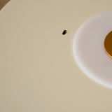 2680 in-situ 1
