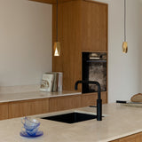 2700 in-situ 5