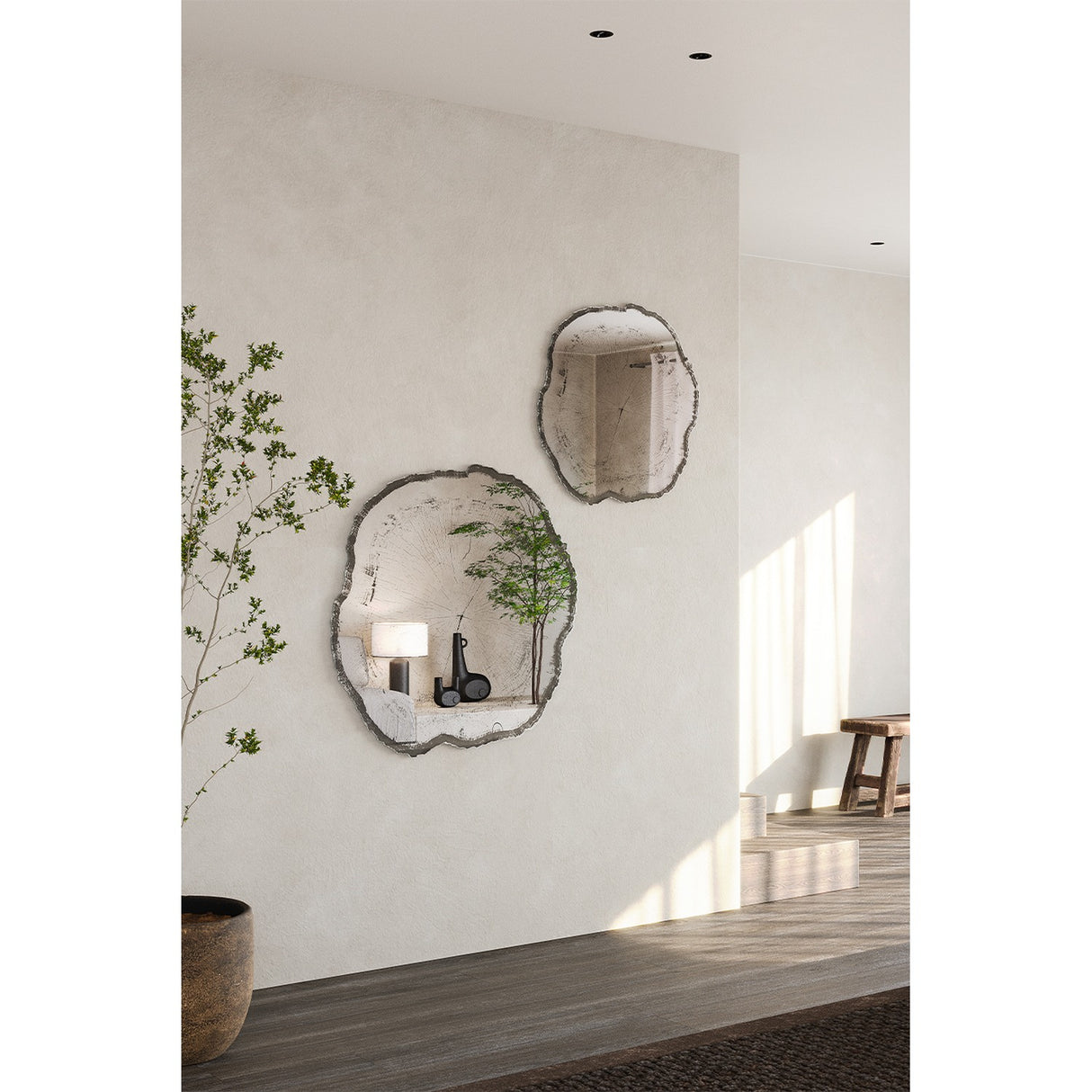 Arbo Dark Tree Ring Printed Glass Wall Mirror 80cm with irregular tree-slice outline and charcoal bark-like edge, shown alongside a matching smaller mirror on a light hallway wall.