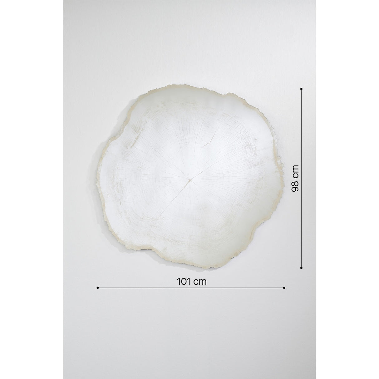 Arbo Ice Tree Ring Printed Glass Wall Mirror 101cm