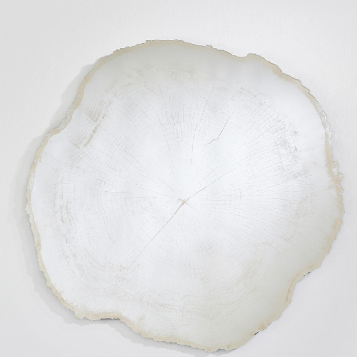 Arbo Ice Tree Ring Printed Glass Wall Mirror 80cm