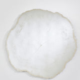Arbo Ice Tree Ring Printed Glass Wall Mirror 80cm