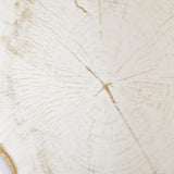 Close-up of the Arbo Gold Tree Ring Printed Glass Wall Mirror, showing tree-ring detailing and radial checks printed in gold on the frameless glass surface.
