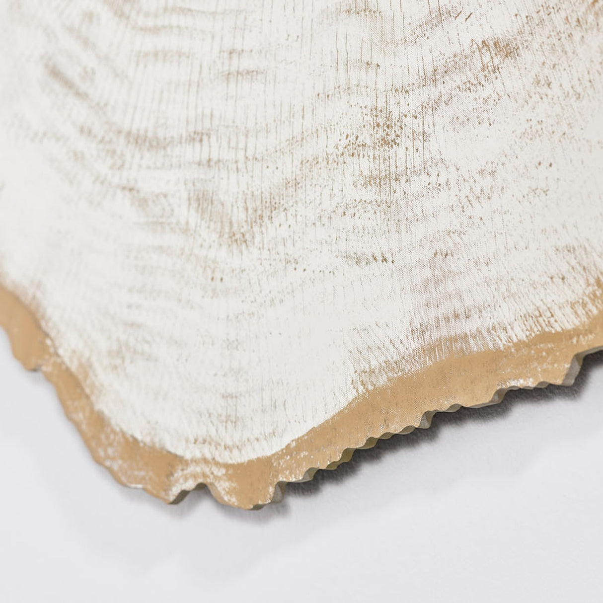 Close-up of the Arbo Gold Tree Ring Printed Glass Wall Mirror, frameless, showing printed growth-ring texture and a gold sawn-edge border against a plain white background.