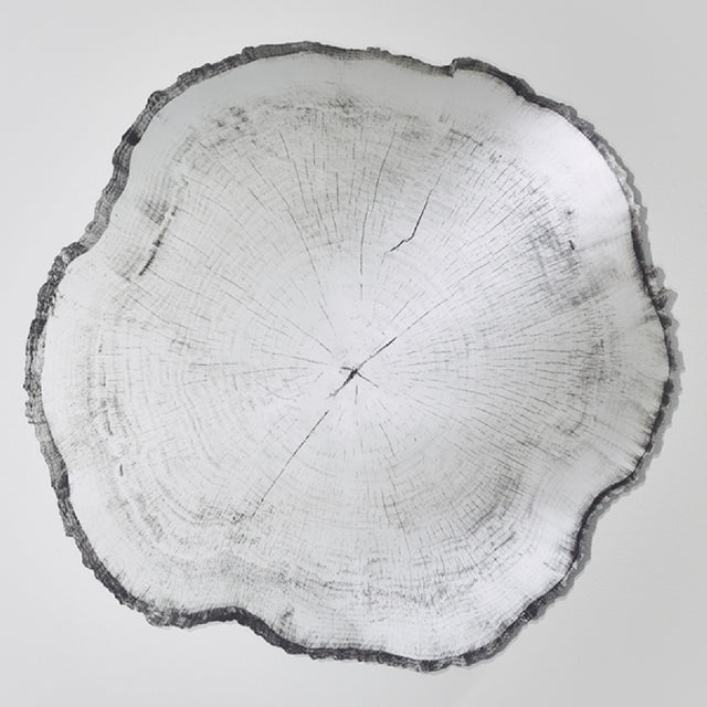 Arbo Dark Tree Ring Printed Glass Wall Mirror 80cm, frameless irregular mirror shaped like a tree trunk slice with printed growth rings and charcoal bark-like edge, on a plain white background.