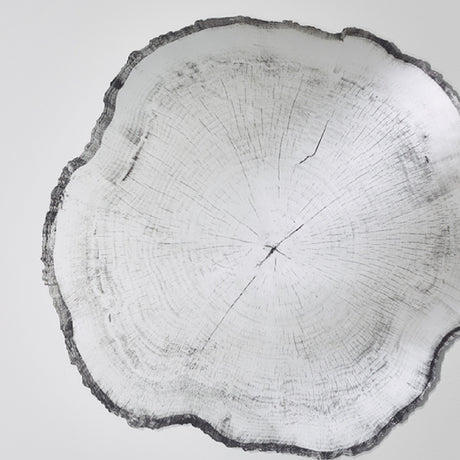 Arbo Dark Tree Ring Printed Glass Wall Mirror 80cm, frameless irregular mirror shaped like a tree trunk slice with printed growth rings and charcoal bark-like edge, on a plain white background.