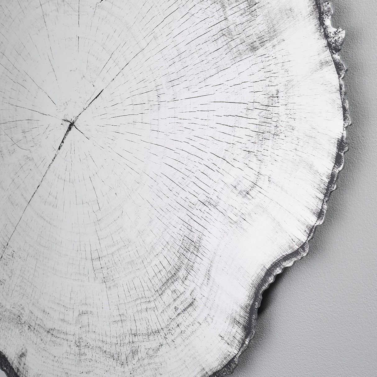 Arbo Dark Tree Ring Printed Glass Wall Mirror 80cm, frameless with an irregular sawn edge in charcoal-black, printed tree ring pattern on glass, close-up detail against a light background.