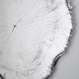 Arbo Dark Tree Ring Printed Glass Wall Mirror 80cm, frameless with an irregular sawn edge in charcoal-black, printed tree ring pattern on glass, close-up detail against a light background.